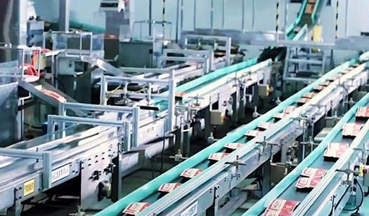 安徽零食巨頭 科技創(chuàng)新驅(qū)動(dòng)下的商業(yè)輝煌