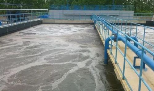 食品廠污水處理設(shè)備及處理流程詳解