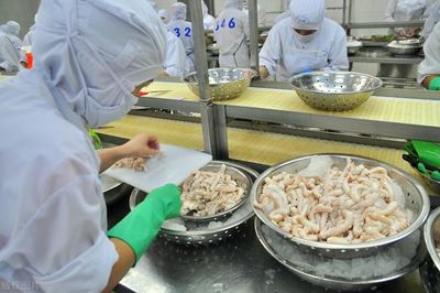 海產品加工企業如何從三個關鍵方面選擇污水處理站方案